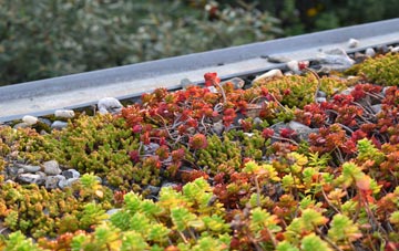 the cost of Hockley green roof installation