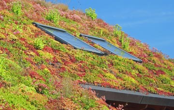 Hockley living roof systems