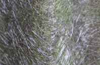 Hockley fibreglass roof work